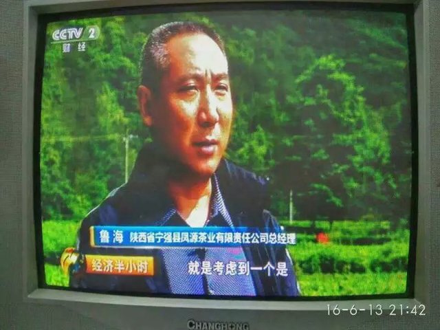 公司老总接受央视采访